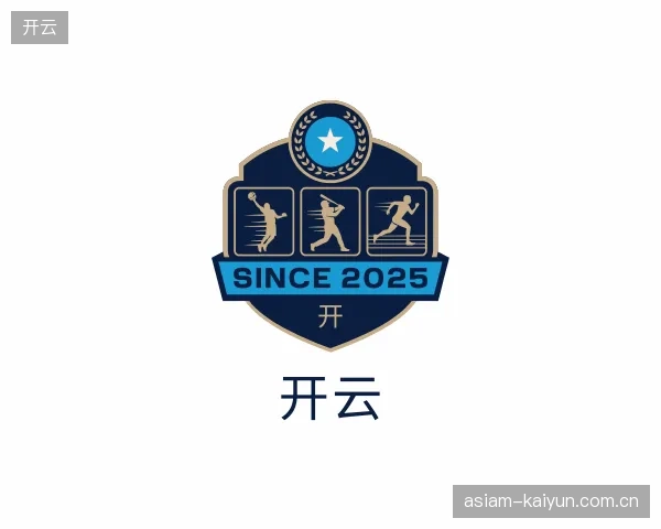解读开云官网